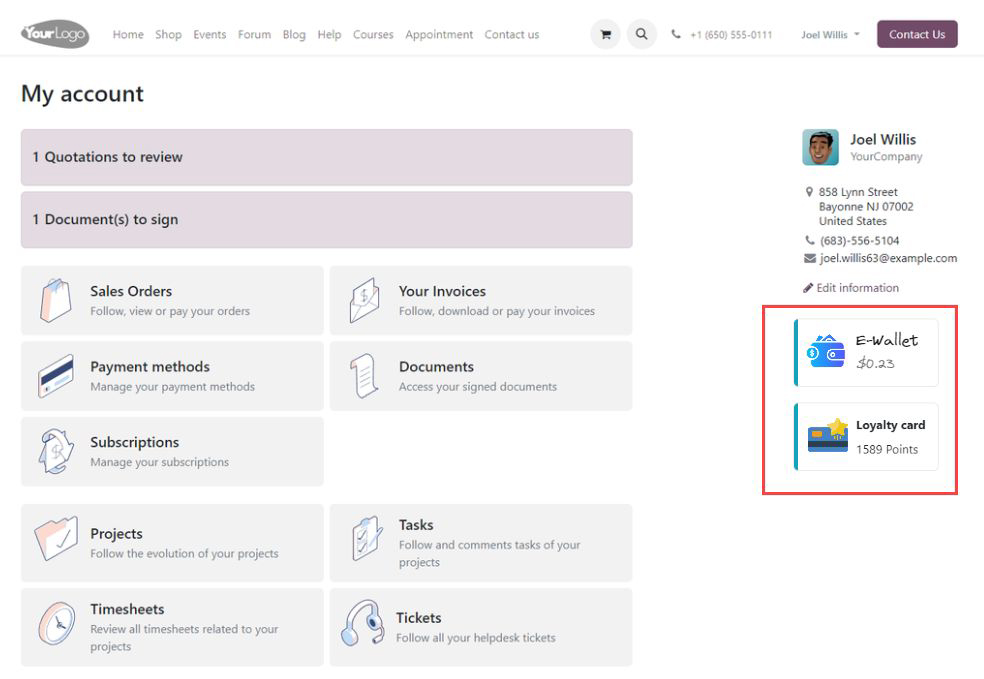 odoo 18 customer portal